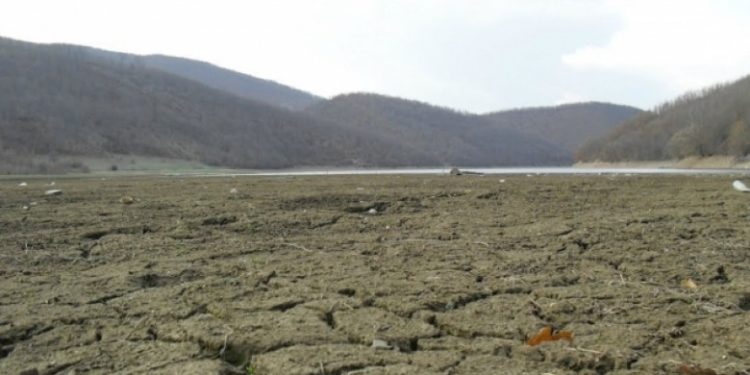 Liqeni i Batllavës, pa ujë shndërrohen në kullosa  (video)