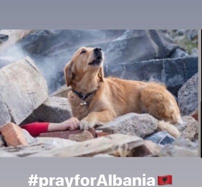 Foto prekëse: Qeni nuk largohet nga trupi i pronarit nën gërmadhat e tërmetit