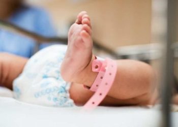 Sivjet 700 lindje më pak në Prishtinë