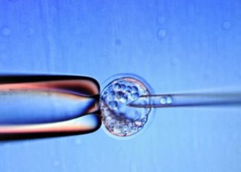 Kina dënon tre studiues për ndryshim të gjeneve të foshnjeve