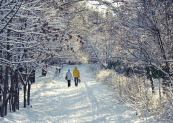 Përfitimet shëndetësore të ecjes në borë