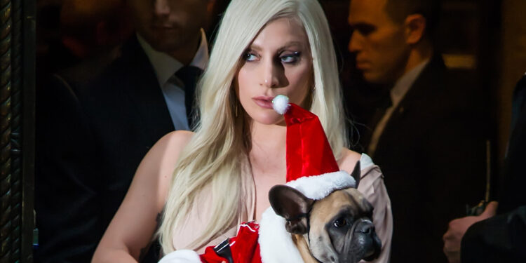Lady Gaga ofron 500 mijë dollarë shpërblim për personin që i gjen dy qentë e saj