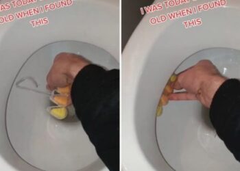 E kemi vendosur gabim deri tash? Video që tregon se si vendoset një freskuese e tualetit si duhet