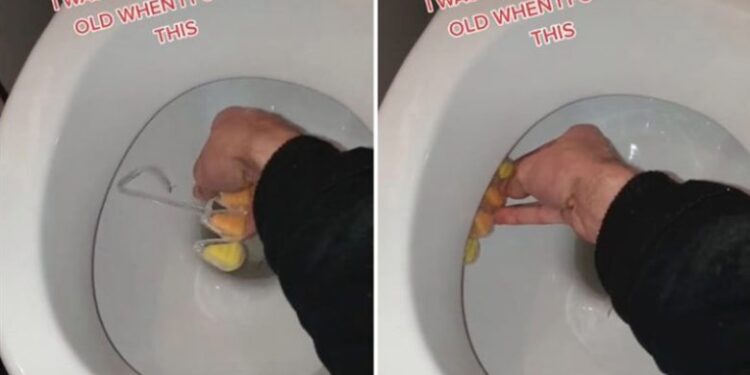 E kemi vendosur gabim deri tash? Video që tregon se si vendoset një freskuese e tualetit si duhet