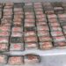 Kapet në Gjermani sasia prej 16 tonësh e kokainës, më e madhja në botë ndonjëherë