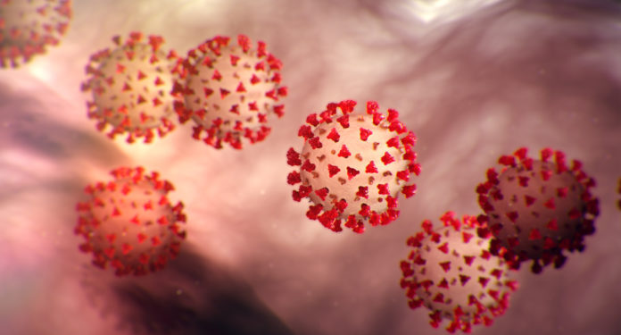 Në Mal të Zi konfirmohet varianti anglez i coronavirusit