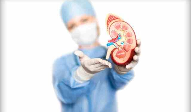 Bashkëshortja ia dhuron veshkën – por s’ka para për operacionin VIDEO