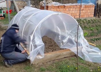 Si të ndërtoni një mini serë për kopështin tuaj (VIDEO)