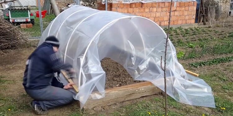 Si të ndërtoni një mini serë për kopështin tuaj (VIDEO)