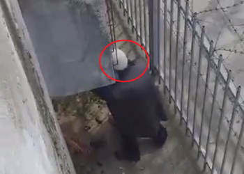 Skandaloze: Plaku me plis të bardhë bën seks me një grua në pikë të ditës në Prishtinë ( video+18)