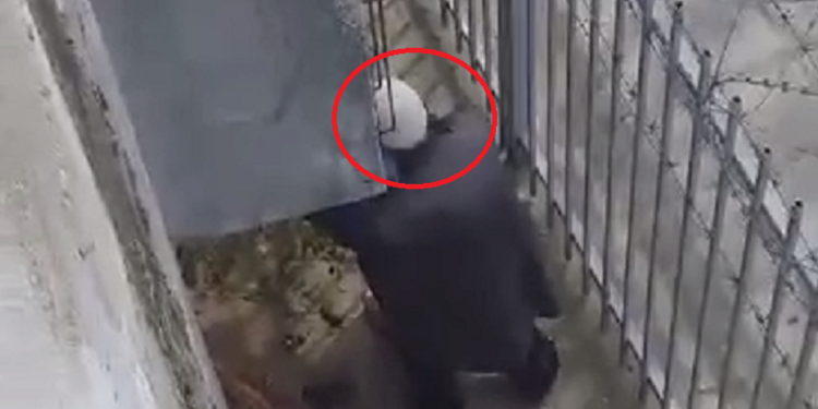 Skandaloze: Plaku me plis të bardhë bën seks me një grua në pikë të ditës në Prishtinë ( video+18)