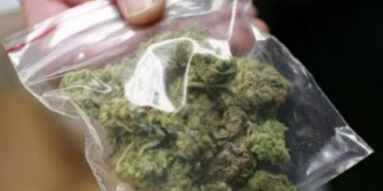 Futi 1 kilogram marihuanë në një bidon, arrestohet në kufi shtetasi i Shqipërisë
