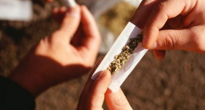 Policia kap rreth 1kg marihuanë dhe mbi 4 mijë euro në Prishtinë