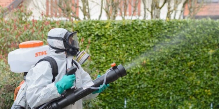 Të hënën fillon faza e dytë e dezinsektimit në Prishtinë, ky është orari