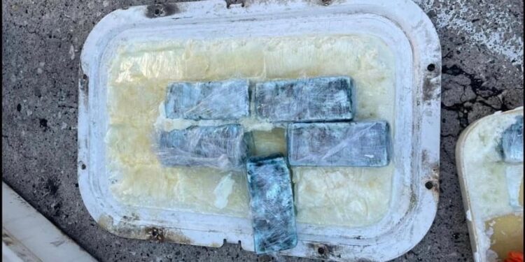 Droga në banane, gjendet një sasi tjetër kokaine në portin e Durrësit