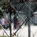 11 shtetas kosovarë kthehen nga Siria, në mesin e tyre një grua dhe disa fëmijë