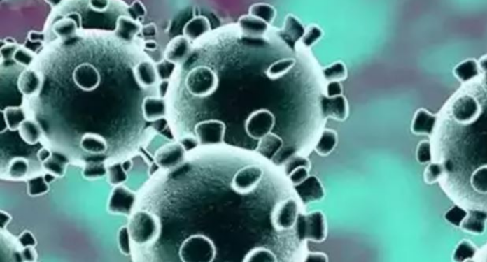 Kaluan Covid-19, por tani po përballen me një tjetër bela të madhe