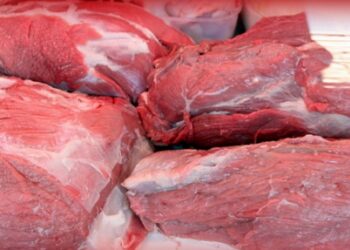 Kontrolli dhe siguria e mishit gjatë verës, AUV bën thirrje për kujdes gjatë transportimit për në shtëpi