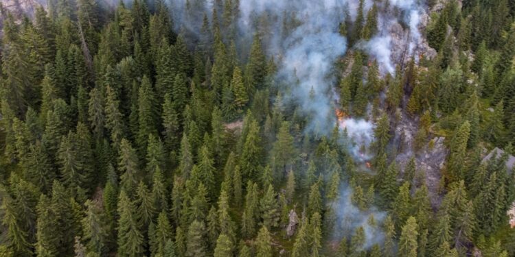 Për më shumë se një muaj 109 raste të zjarrvënieve në Kosovë, prangosen 20 persona