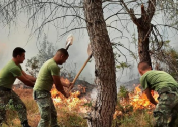 Zjarre në fshatrat e Ferizajt dhe Gjilanit, shkaktohen shumë dëme
