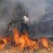 Mediat greke: Zjarret në Shqipëri po kalojnë në territorin tonë