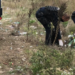 Policët e Kosovës pastrojnë zonën në Jarinjë në ditën e tretë të protestës