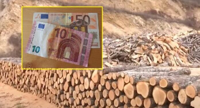 Deri në 60 euro për metër, qytetarët ankohen për çmimin e drunjve