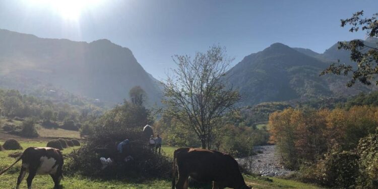 Në këtë fshat të Kosovës jetojnë vetëm 4 banorë