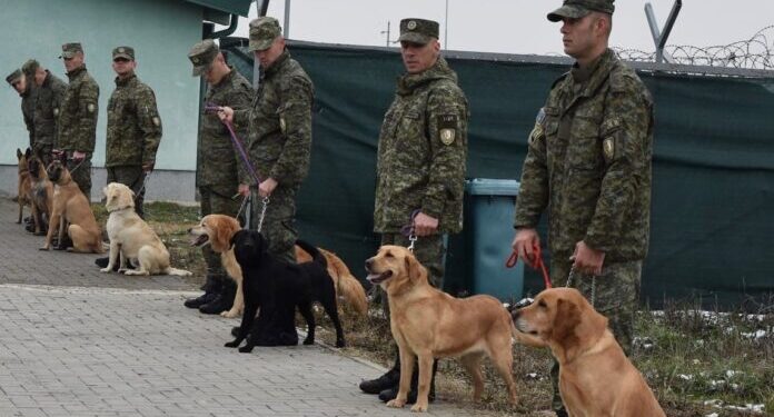 Ushtria e Turqisë i jep 6 qenë FSK-së