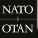 Ish-zëdhënësi i NATO-s: Kosova mund të futet në NATO