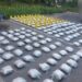 Ky është personi qe policia ja kap mbi 90 kilogramë drogë në Kosovë