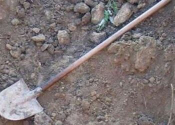 Shëngjin: Shqiptaret rrahën me bishta të kacisë për çadër plazhi