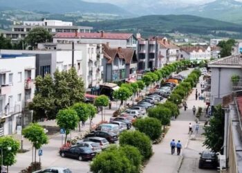 Njoftim me rëndësi nga Komuna e Vitisë për ankand publik (dokument)