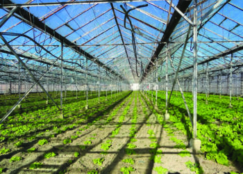 E rëndë: 20 vjeçari shqiptarë vdes duke punuar në serë