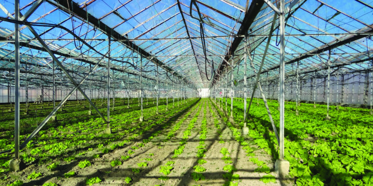 E rëndë: 20 vjeçari shqiptarë vdes duke punuar në serë