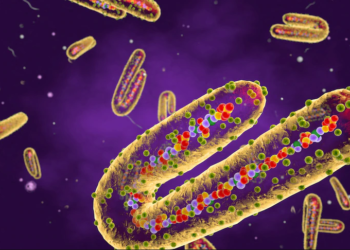 Virusi vdekjeprurës “Marburg”, ky shtet i konfirmon dy rastet e para