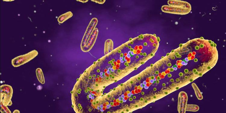 Virusi vdekjeprurës “Marburg”, ky shtet i konfirmon dy rastet e para