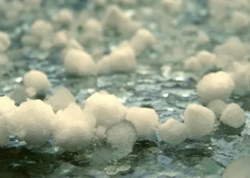 Sot pritet shi e breshër në disa komuna të Kosovës