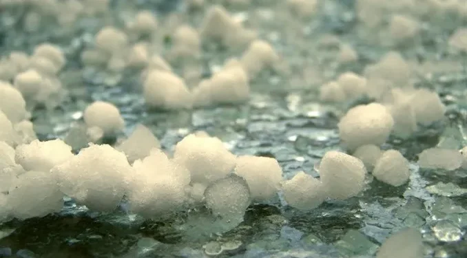 Sot pritet shi e breshër në disa komuna të Kosovës