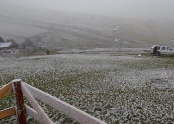 Bie bora e parë në Kosovë për këtë vit (foto)