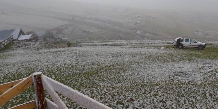Bie bora e parë në Kosovë për këtë vit (foto)