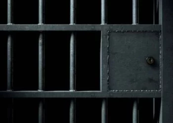 35 vjeçarin e lan të hahet për së gjalli nga insektet në burg(FOTO)