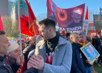 Edhe djali i Kadri Veselit duke protestuar në Hagë