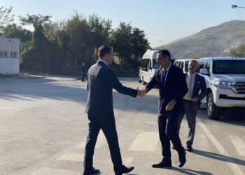 Peci del e pret në kufi ministrin gjerman