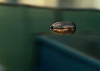 Dy pluma qorr i godasin dy vetura