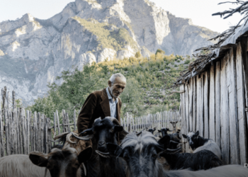 Ekspozita, Ilirët e fundit në Kelmend, prezantohen në Francë