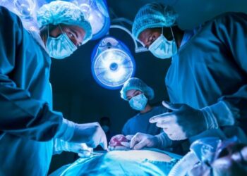 Për herë të parë, mjekët transplantojnë veshkën e derrit tek njeriu