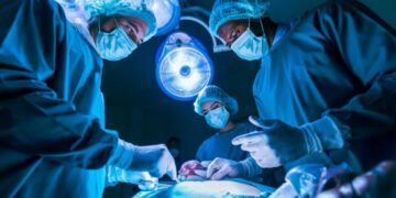 Për herë të parë, mjekët transplantojnë veshkën e derrit tek njeriu