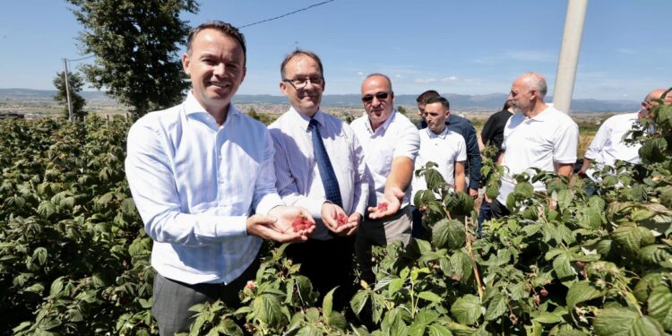 Ministri Peci: Në mandatin e tim i investuam mbi 300 milionë në bujqësi