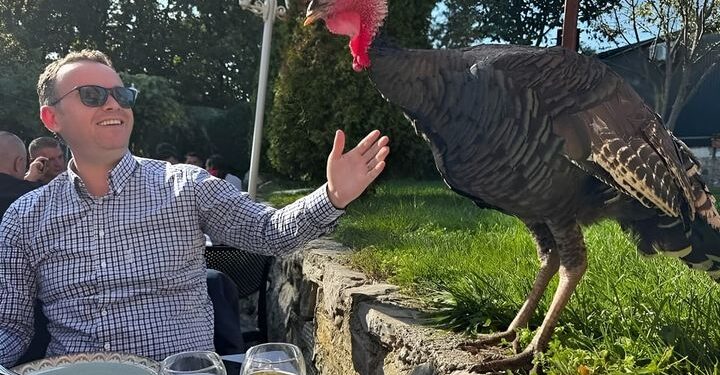Boll marre: Peci ja refuzoi grandin grave të Krushës, e ja dha 100 mijë euro  vëllait të Fitore Pacollit